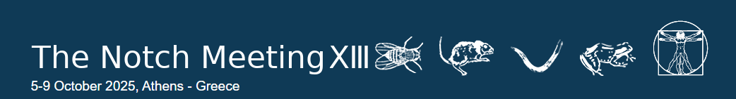Symvoli.gr | The Notch Meeting XIII